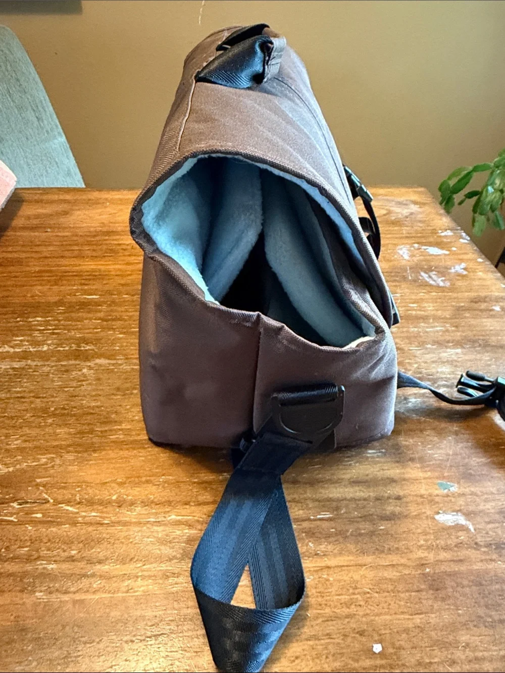 Kurgo Dog Seat/ Carrier